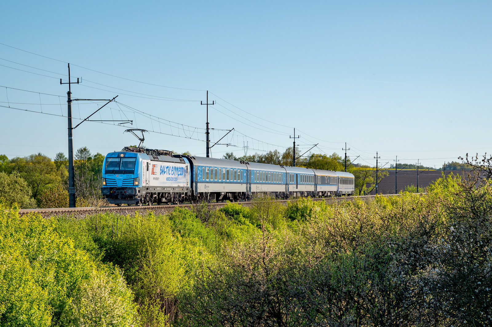 6193-325 "Katerina"