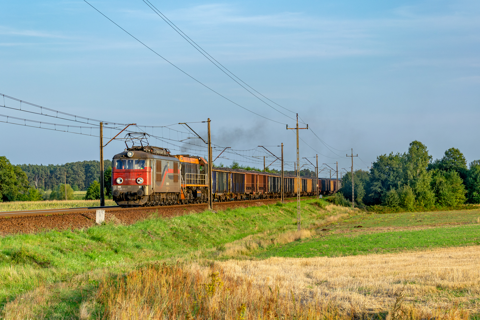 3E/1M-368