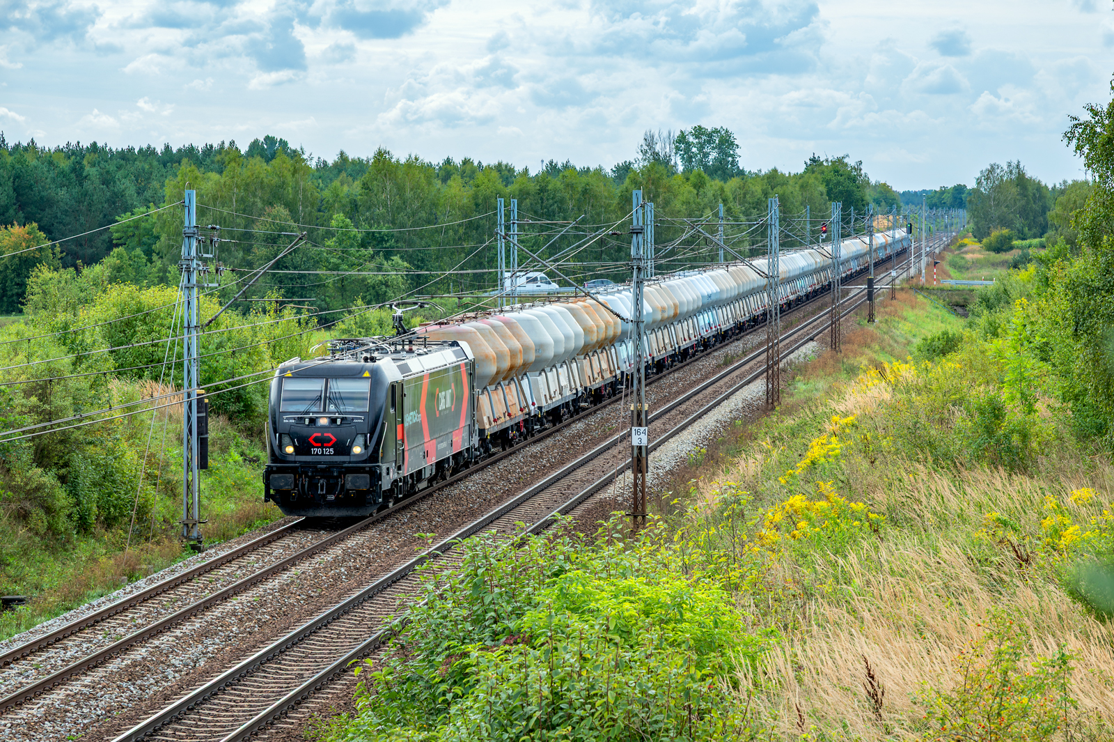 594-008 "Joanna"