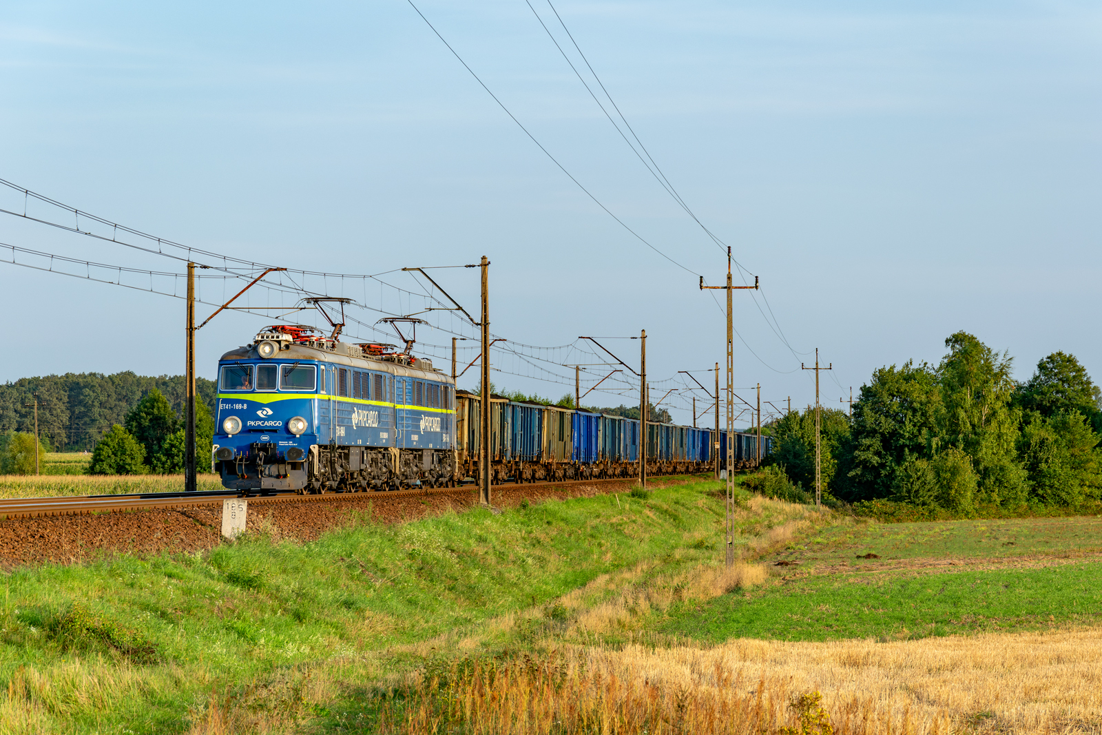 ET41-169