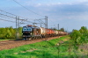 6193-056 'Orzech"