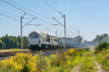 311D-06