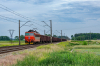163-030 [Agata]